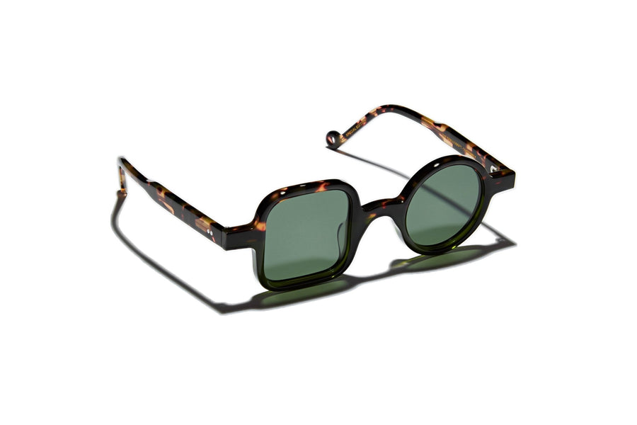 LIMONCELLO | Tortoise